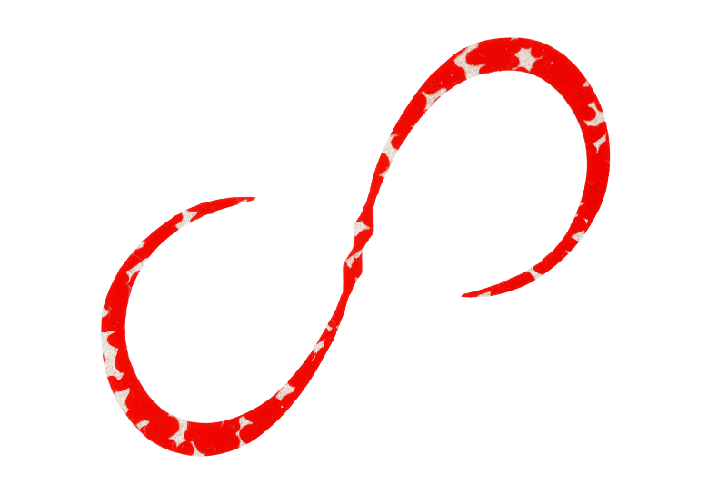 BINBINDAMA CUSTOM NECKTIE CURLY - JACKALL