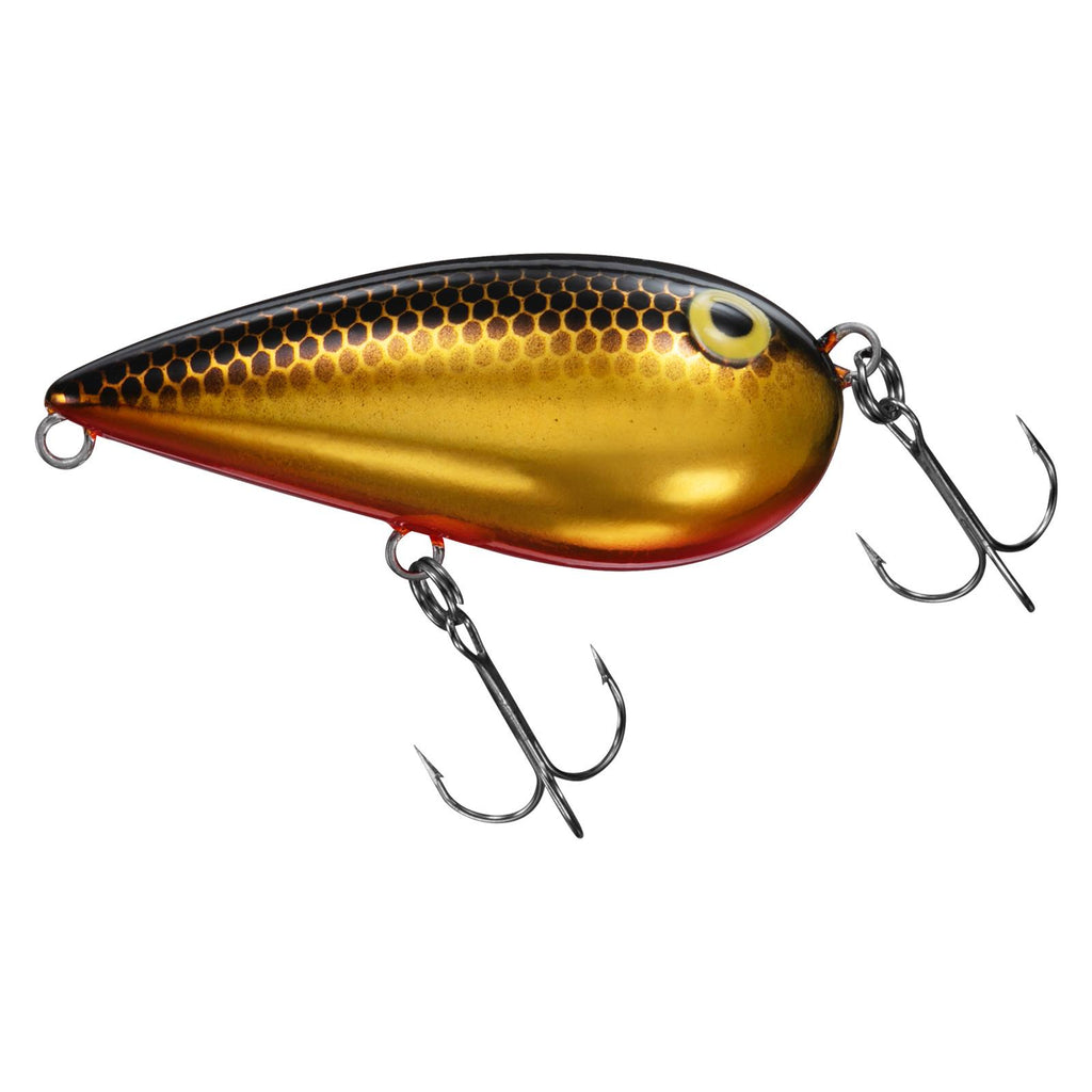 ALMOND - DAIWA