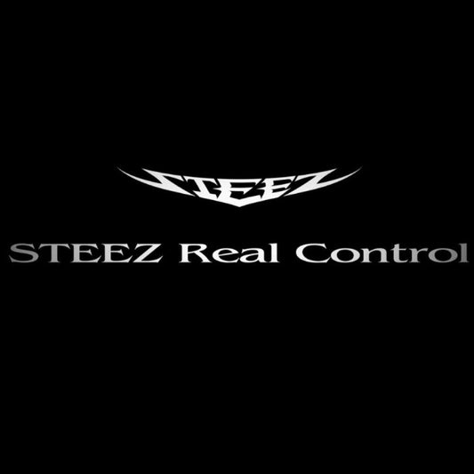 STEEZ REAL CONTROL - DAIWA