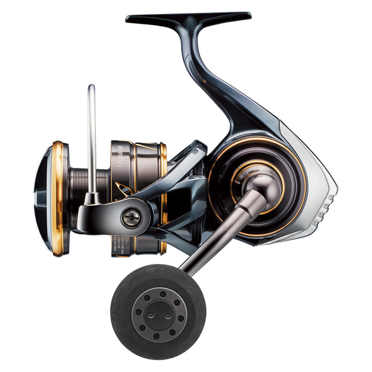 CALDIA SW (22) - DAIWA
