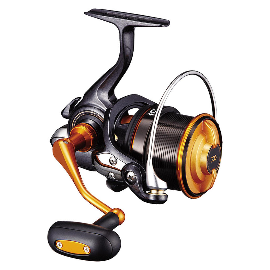CAST'IZM 25 (19) - DAIWA