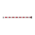 FISHING MEASURE R - DAIWA