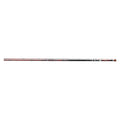GENPAOH ISHIDAI Rod - DAIWA