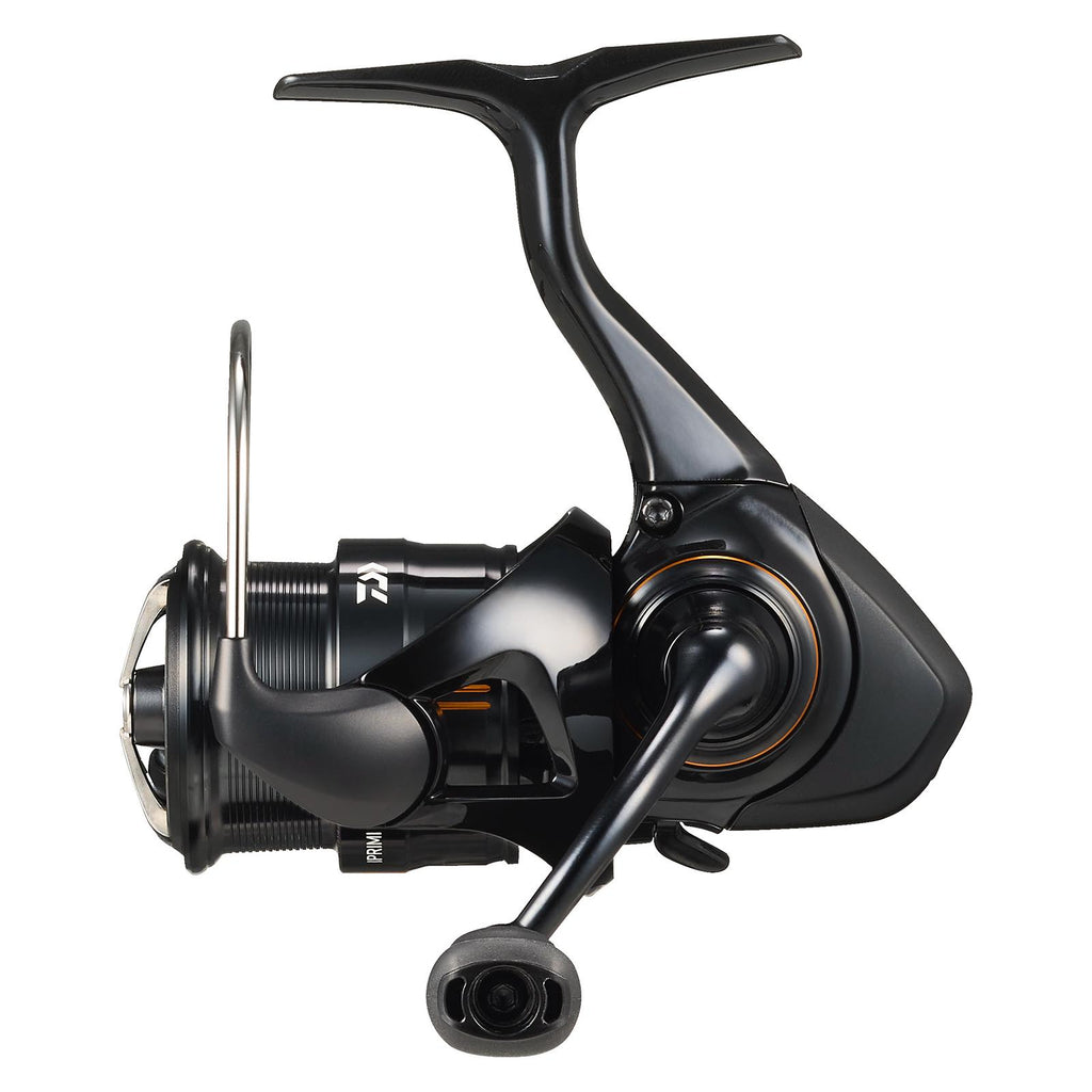 IPRIMI (25) - DAIWA