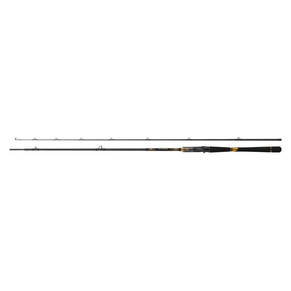 MORETHAN BRANZINO EX AGS Baitcasting - DAIWA