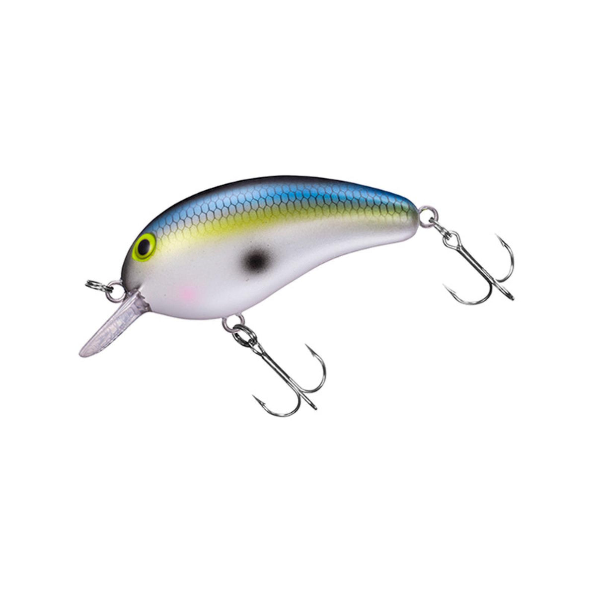 PEANUT - DAIWA