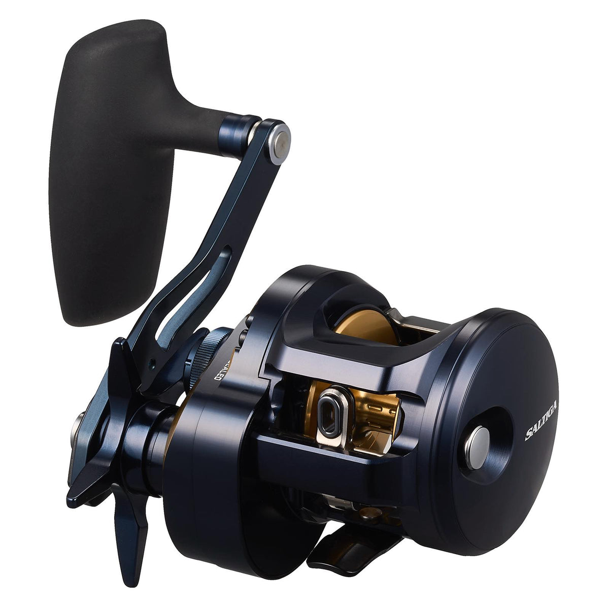 SALTIGA 300 (25) - DAIWA