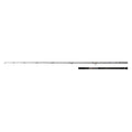SALTIGA C BULLSWING - DAIWA