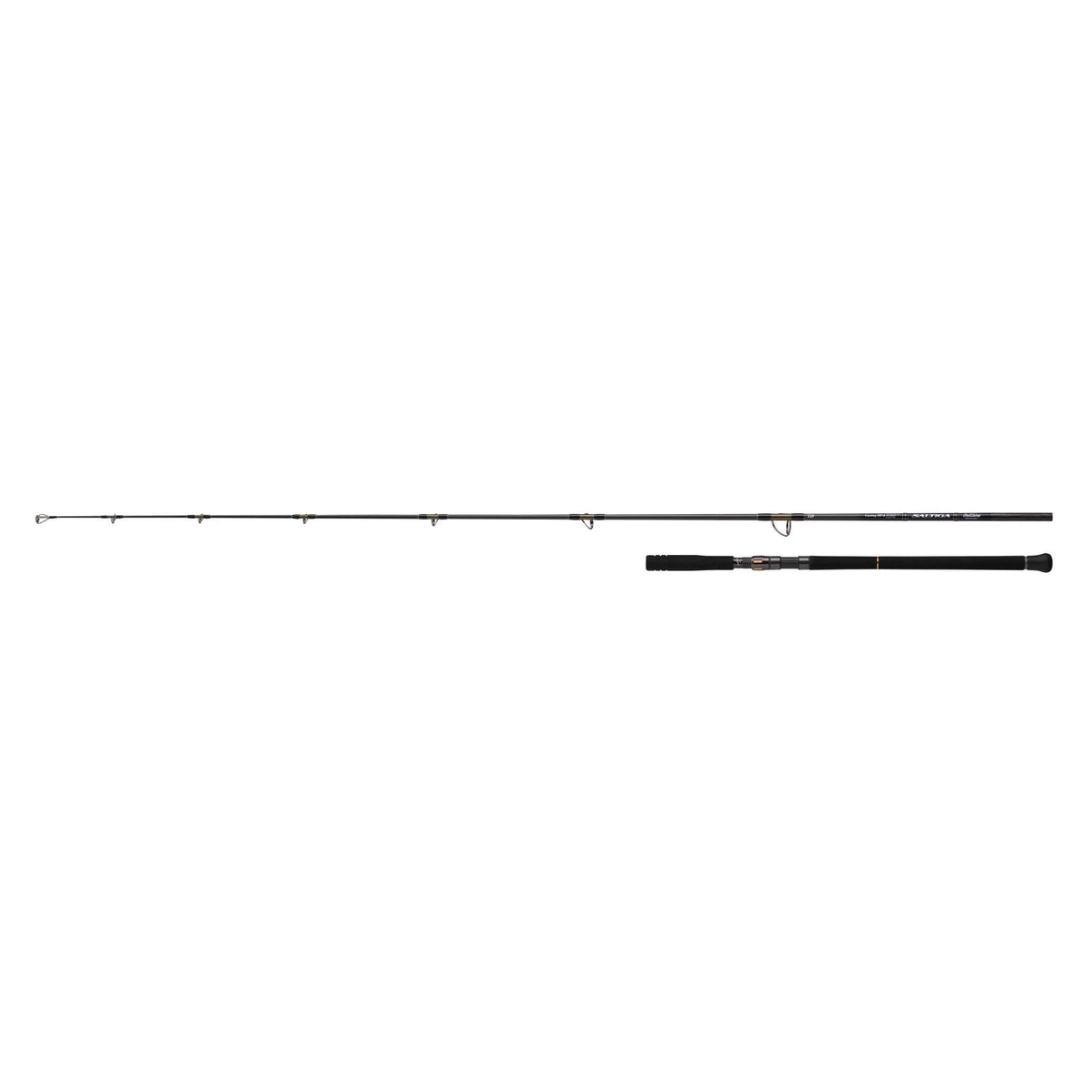 SALTIGA C BULLSWING - DAIWA