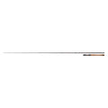 STEEZ SHORE COMPETITION Baitcasting - DAIWA