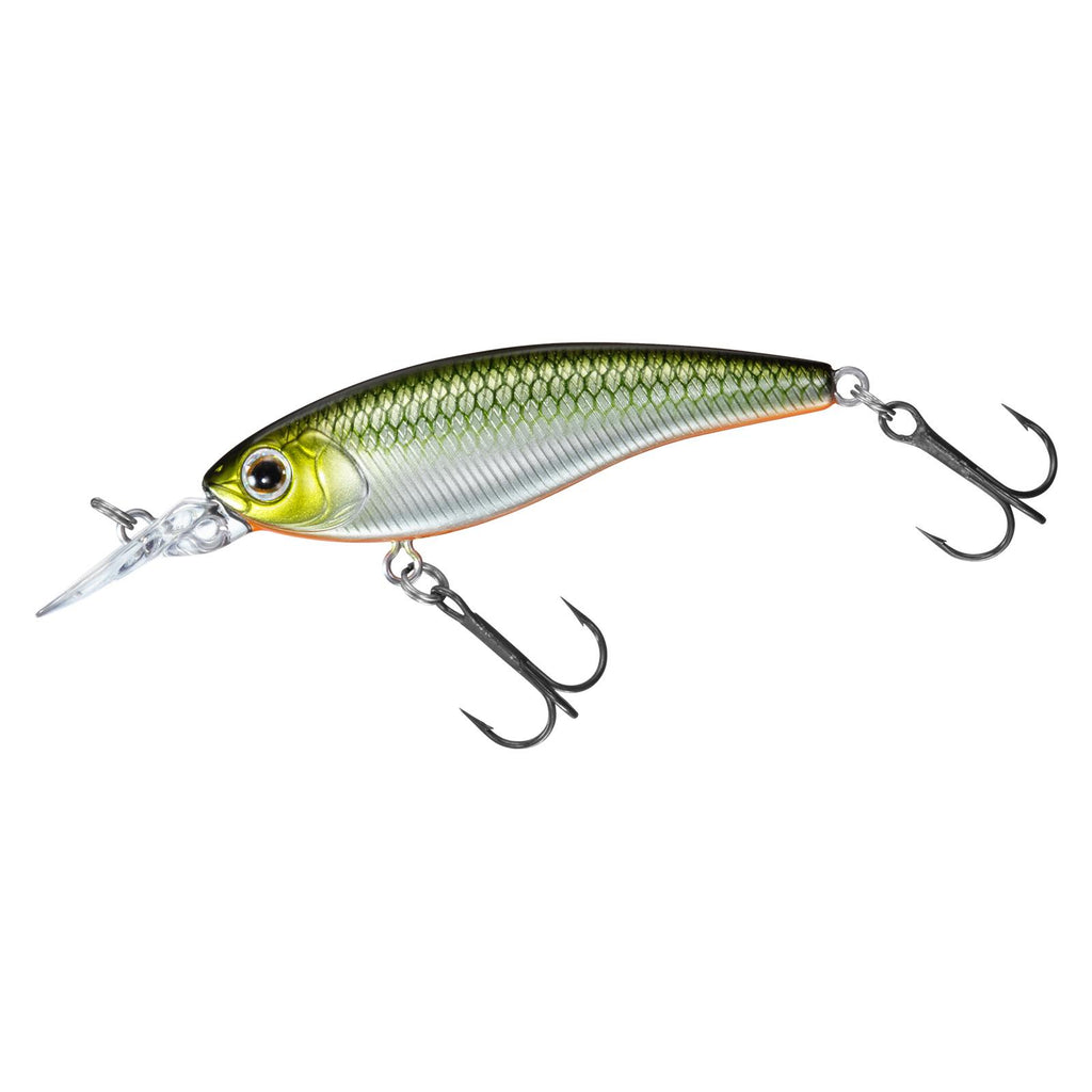 STEEZ SILENT SHAD - DAIWA