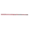 TOURNAMENT SURF T - DAIWA