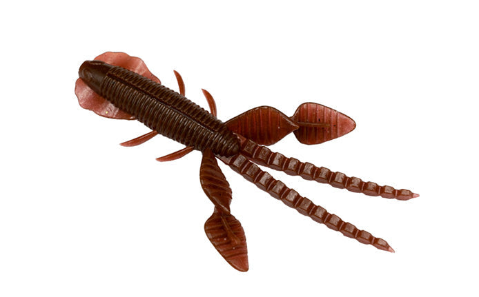 Empel Bug - Galápagos