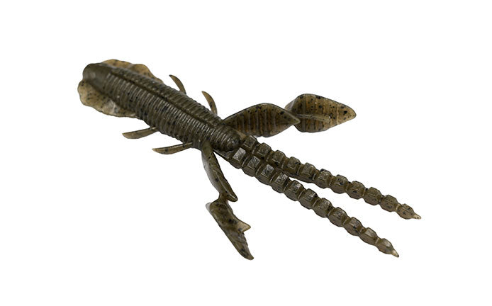 Empel Bug - Galápagos