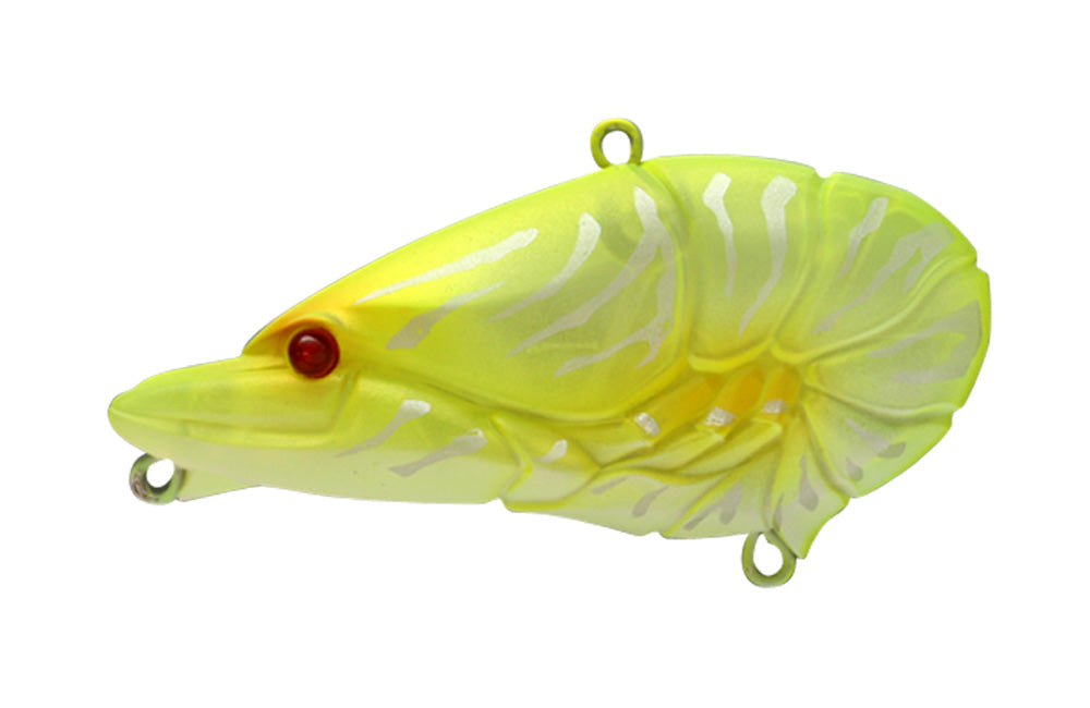 G.C. Zari Vib Jr.57 - ISSEI