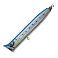 KAMIWAZA DECOPOP SLIM F - Valleyhill