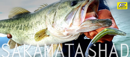 SAKAMATA SHAD 4.0inch - deps