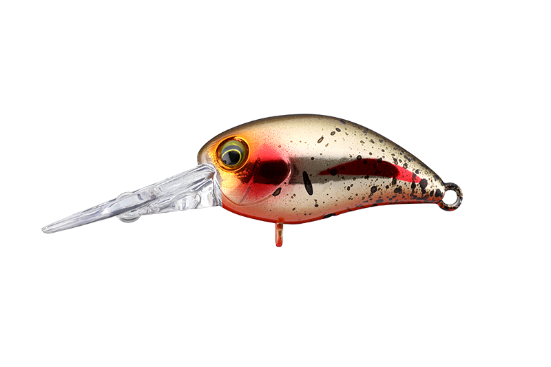 TIMON C&R Panicra' DR-HF - JACKALL