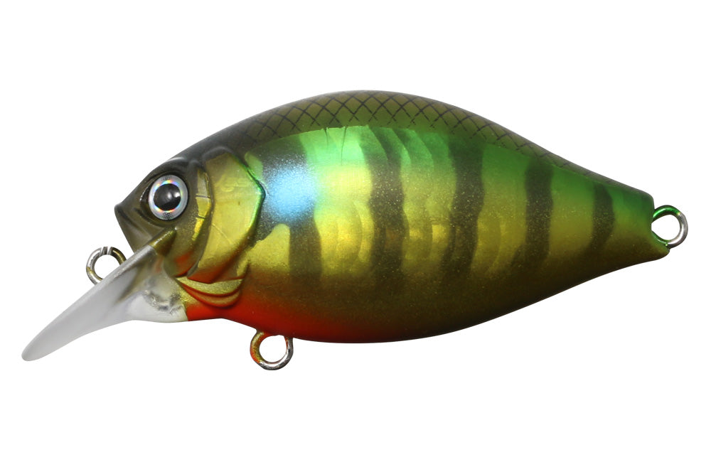 G.C. Shallow Crank 40SR - ISSEI