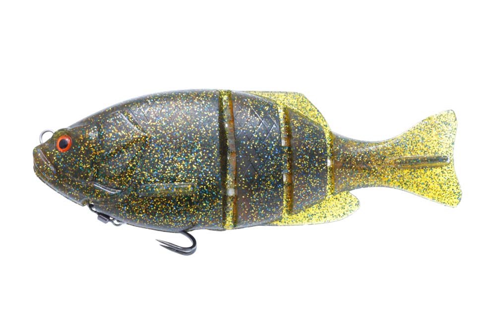 Gill Flat Swimmer - ISSEI