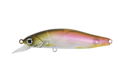 G.C. Minnow 55SR-F - ISSEI