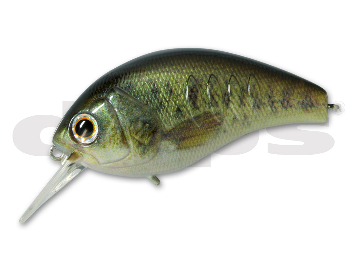 BALISONG MINNOW LONGBILL - deps