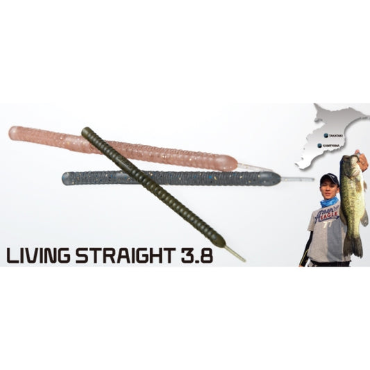 Living Straight 3.8 - ENGINE
