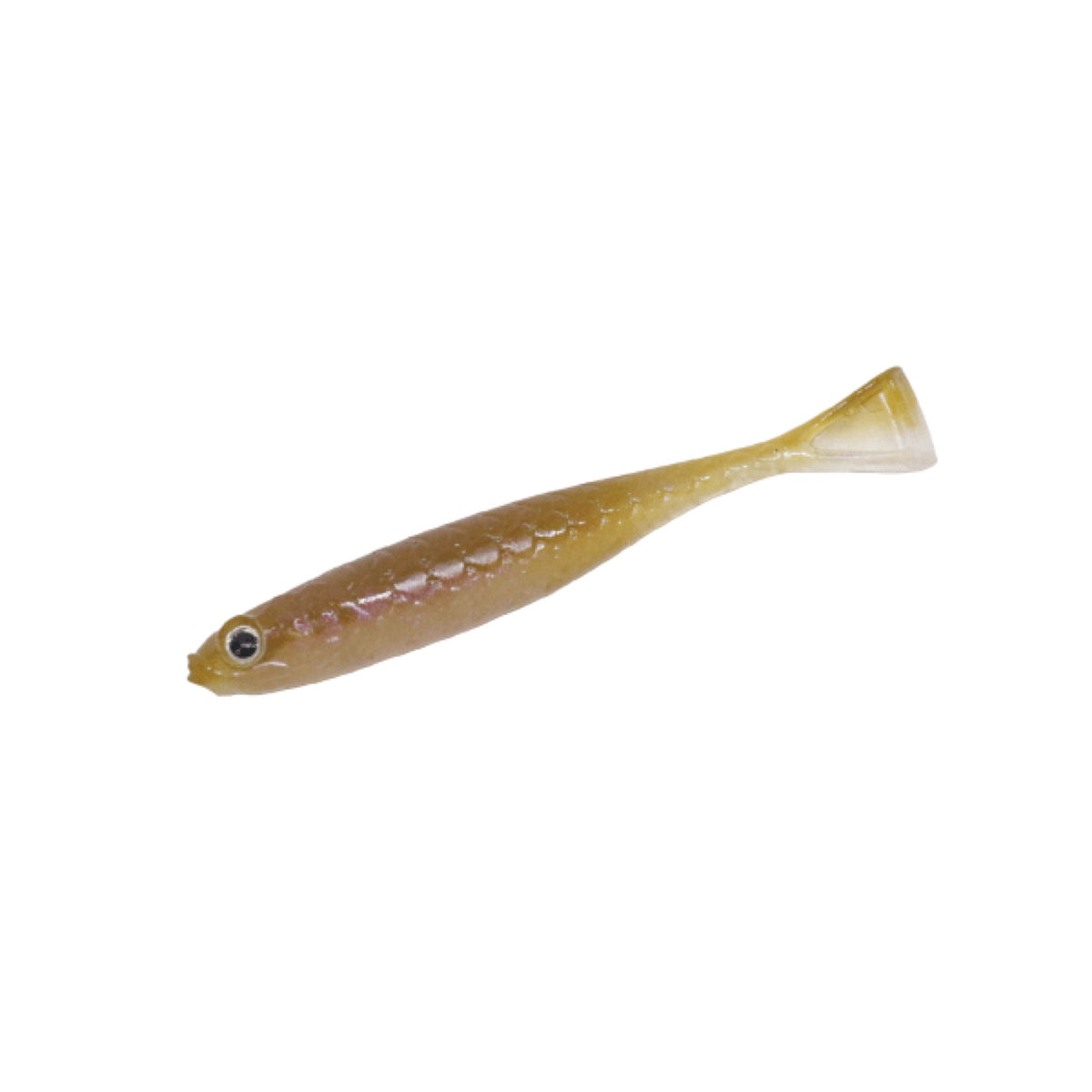 Micro Fish Tail - ENGINE