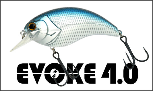 EVOKE 4.0 - deps