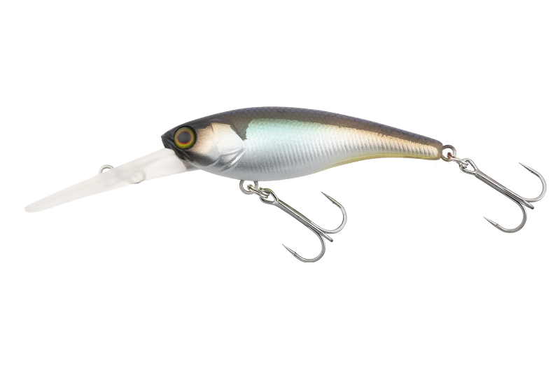 SOUL SHAD - JACKALL