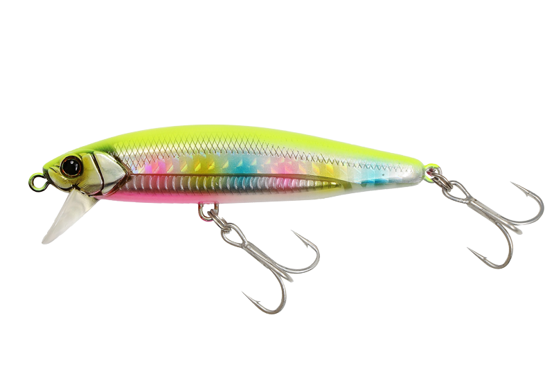BIGBACKER ANCHOPEED - JACKALL