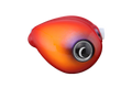 TG BINBIN DAMA SLIDE RAIRYUHEAD NEO - JACKALL