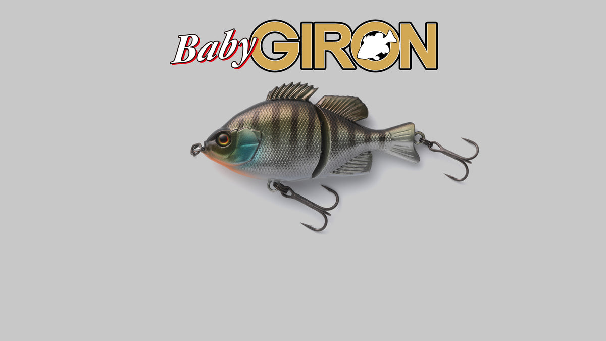 BABY GIRON - JACKALL