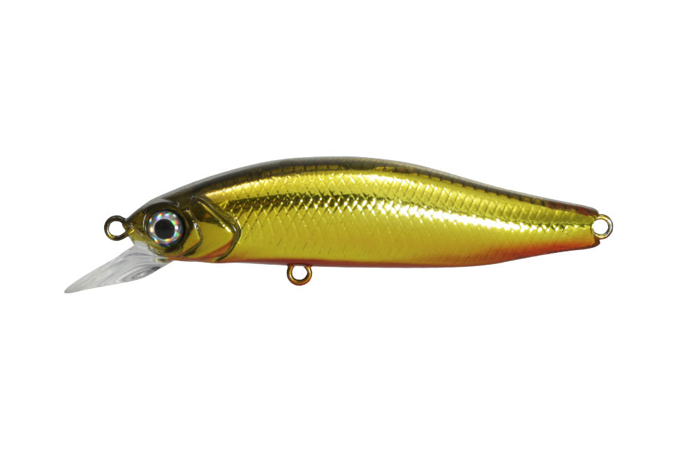 G.C. Minnow 55SR-F - ISSEI