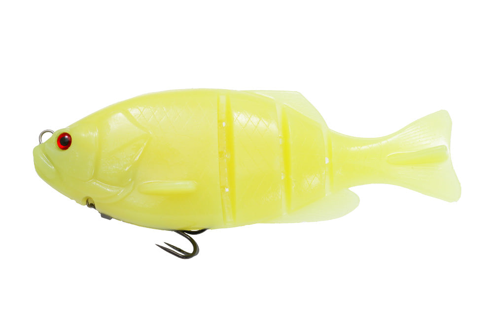 Gill Flat Swimmer - ISSEI