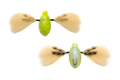 NEED CICADA - JACKALL