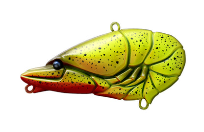 G.C. Zari Vib Jr.57 - ISSEI