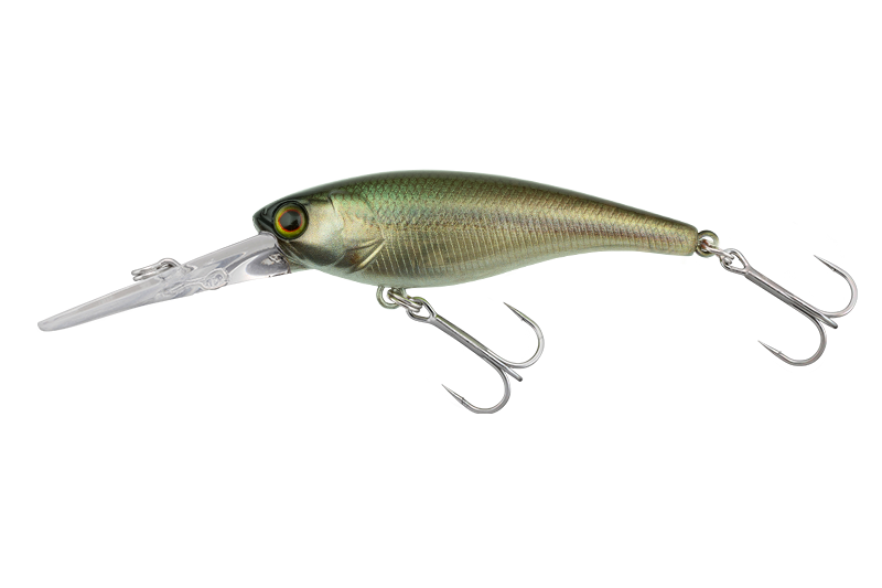 SOUL SHAD - JACKALL