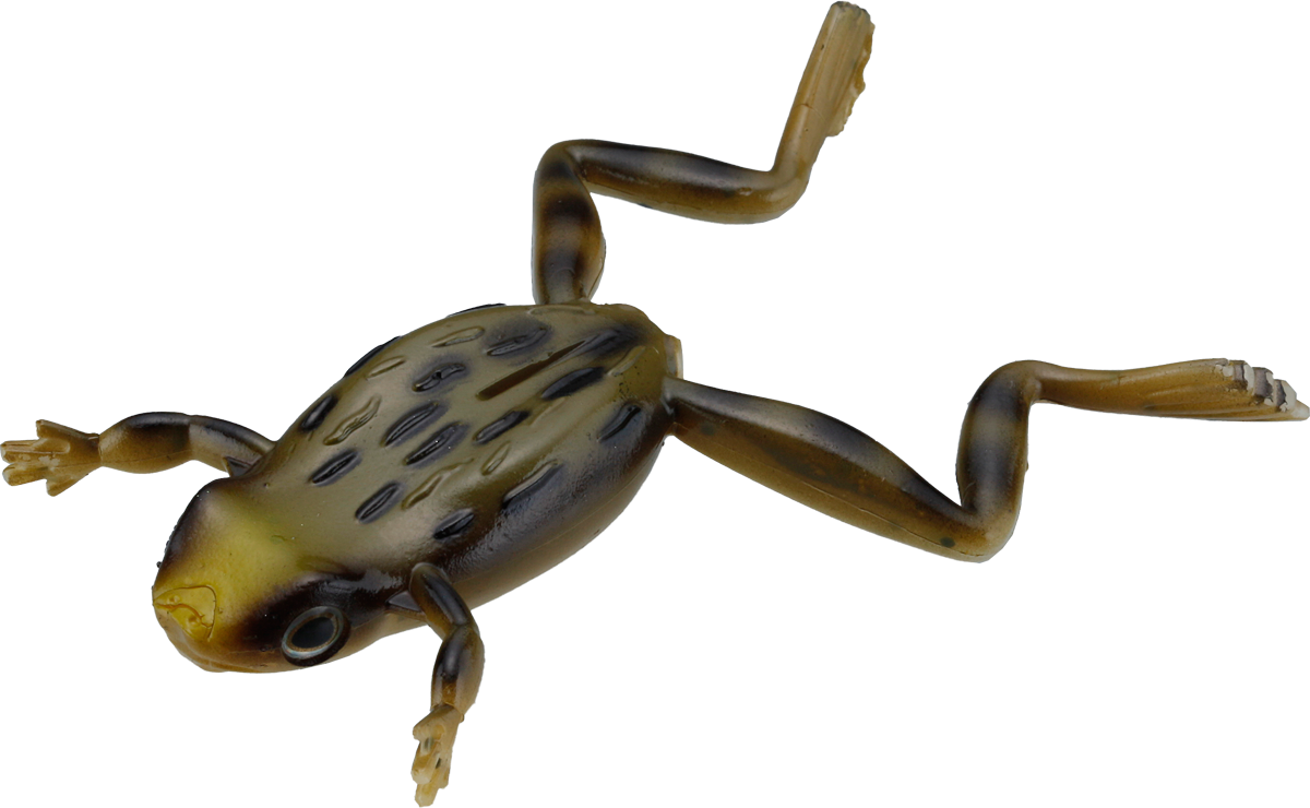 Finesse Frog - IMAKATSU