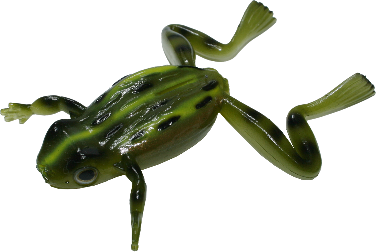 Finesse Frog - IMAKATSU