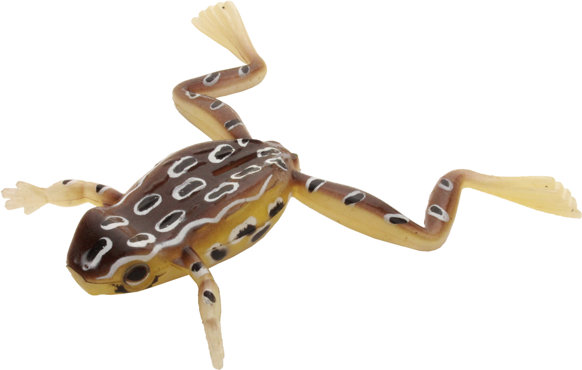 Finesse Frog - IMAKATSU