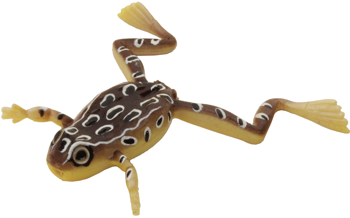 Finesse Frog MINI - IMAKATSU