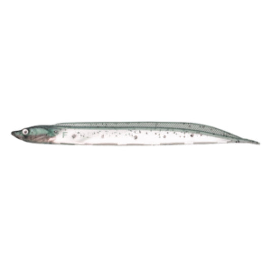 Flash-J Shirauo 3inch - Fish Arrow