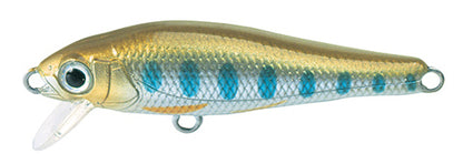 elfin Fish - TACKLE HOUSE