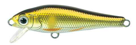 elfin Fish - TACKLE HOUSE