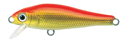 elfin Fish - TACKLE HOUSE