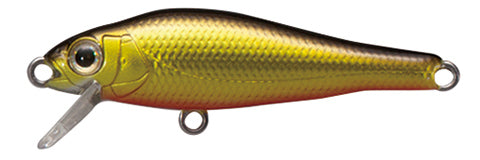 elfin Fish - TACKLE HOUSE