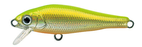 elfin Fish - TACKLE HOUSE