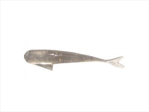 FISHLIKE 1.5inch - 34 (Thirty Four)
