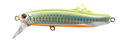 CONTACT FRITZ - TACKLE HOUSE